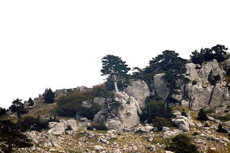 DSCF0036