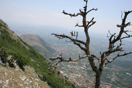 foglianise
