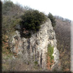 foto di giulio martino