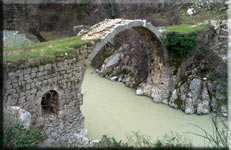 foto di roberto pellino