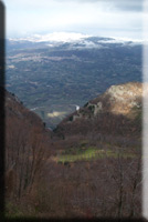 foto di roberto pellino
